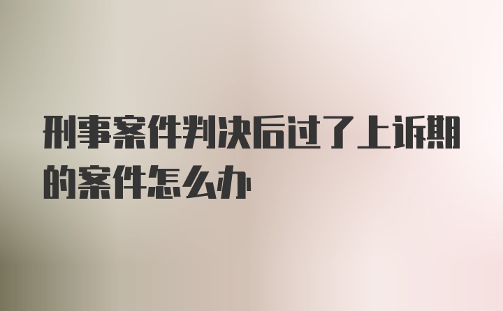 刑事案件判决后过了上诉期的案件怎么办