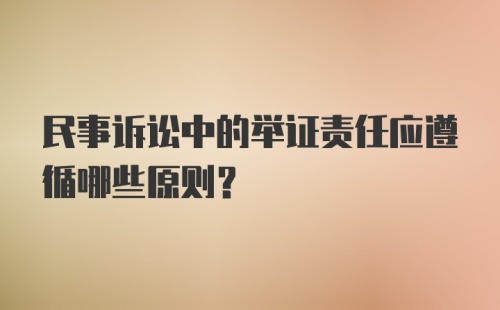 民事诉讼中的举证责任应遵循哪些原则？