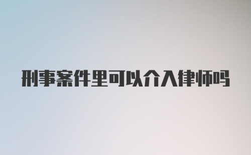 刑事案件里可以介入律师吗