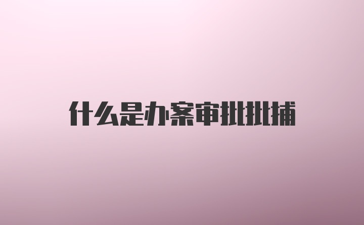 什么是办案审批批捕