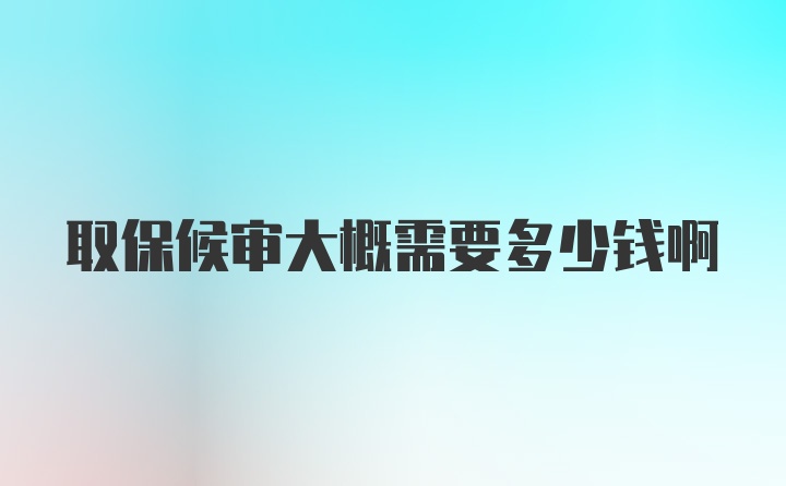 取保候审大概需要多少钱啊