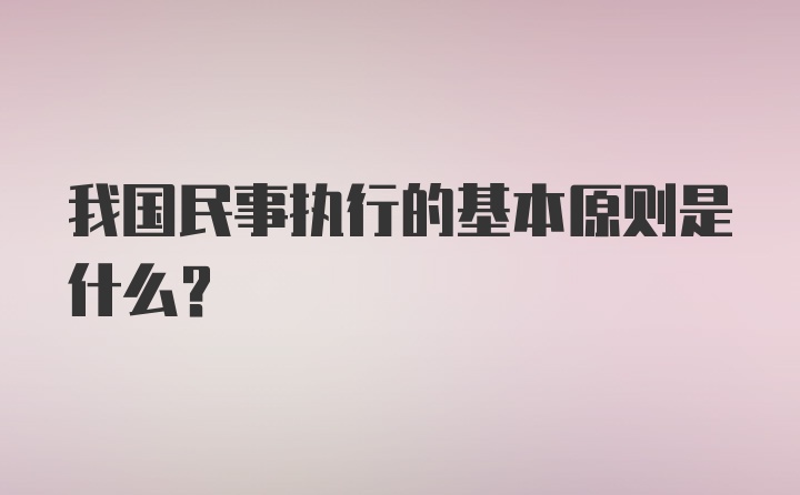 我国民事执行的基本原则是什么？