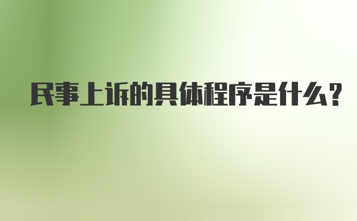 民事上诉的具体程序是什么？