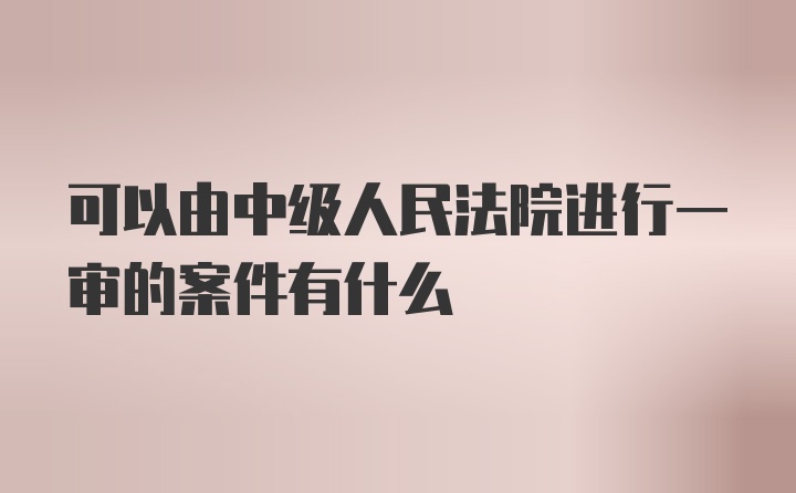 可以由中级人民法院进行一审的案件有什么