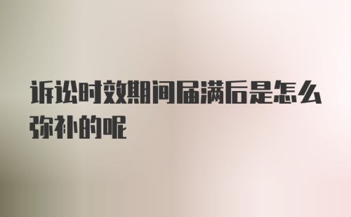 诉讼时效期间届满后是怎么弥补的呢