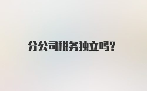 分公司税务独立吗？