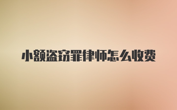 小额盗窃罪律师怎么收费