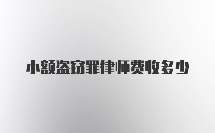 小额盗窃罪律师费收多少