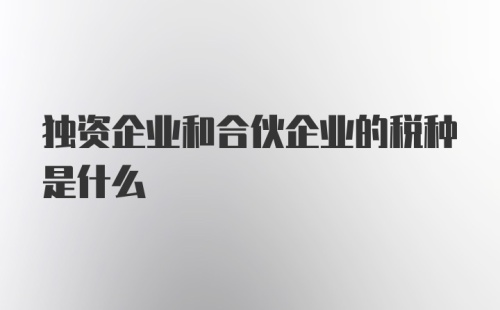 独资企业和合伙企业的税种是什么