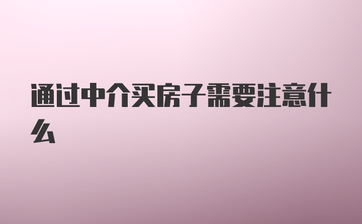 通过中介买房子需要注意什么