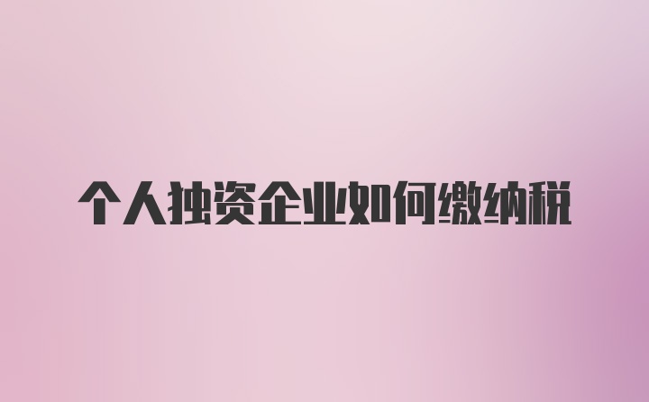 个人独资企业如何缴纳税