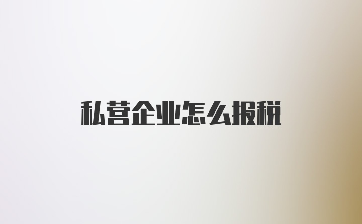 私营企业怎么报税