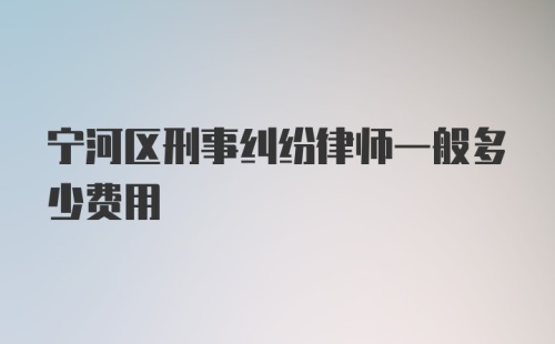 宁河区刑事纠纷律师一般多少费用