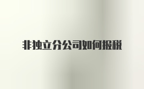 非独立分公司如何报税