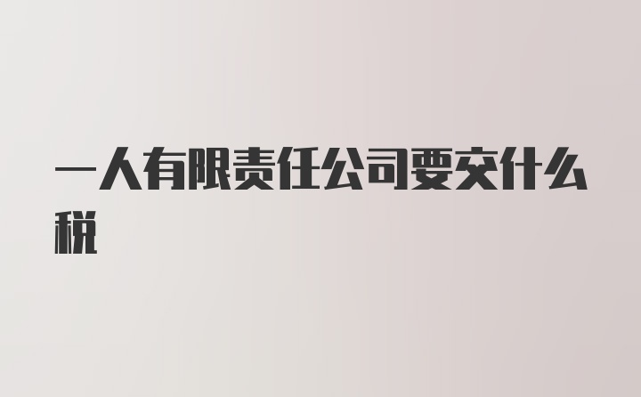 一人有限责任公司要交什么税