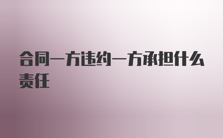 合同一方违约一方承担什么责任