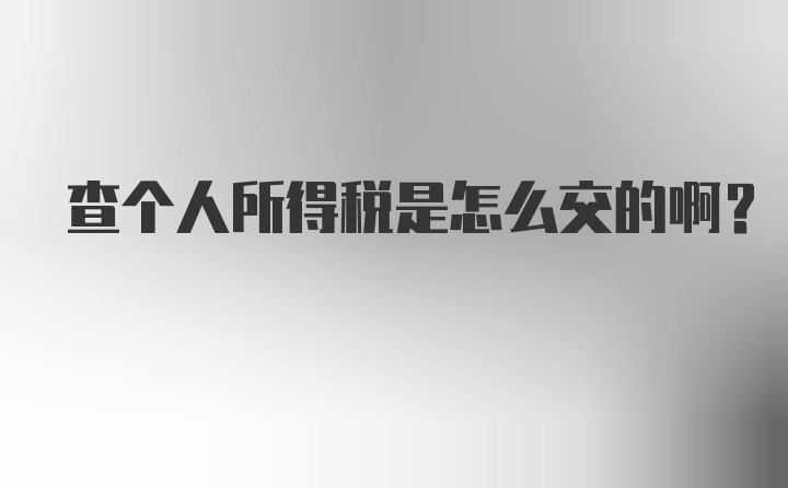 查个人所得税是怎么交的啊？