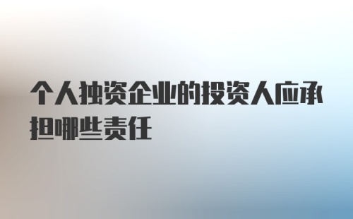 个人独资企业的投资人应承担哪些责任