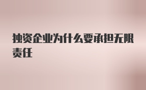 独资企业为什么要承担无限责任