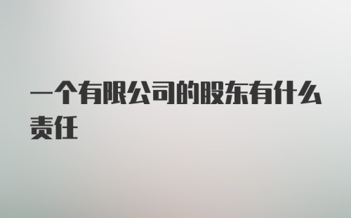 一个有限公司的股东有什么责任