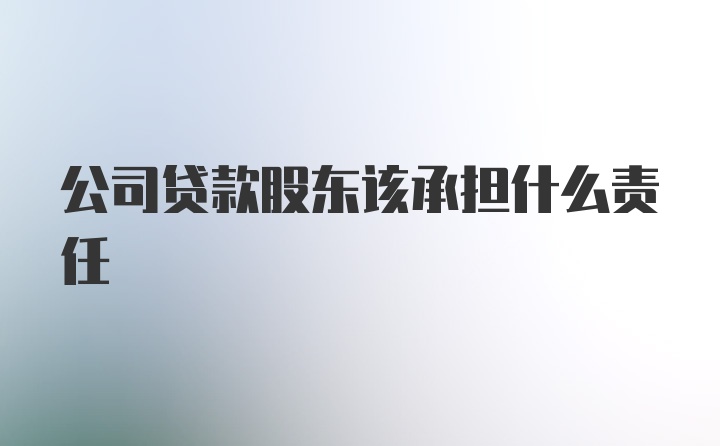 公司贷款股东该承担什么责任