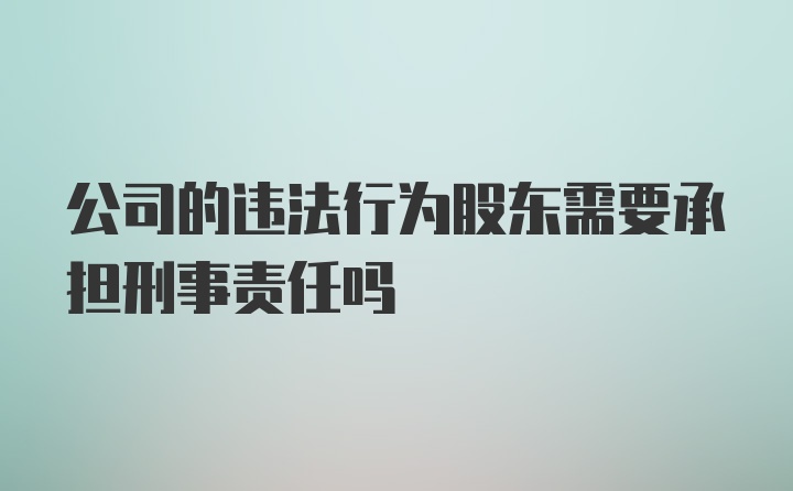 公司的违法行为股东需要承担刑事责任吗