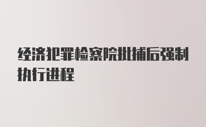 经济犯罪检察院批捕后强制执行进程