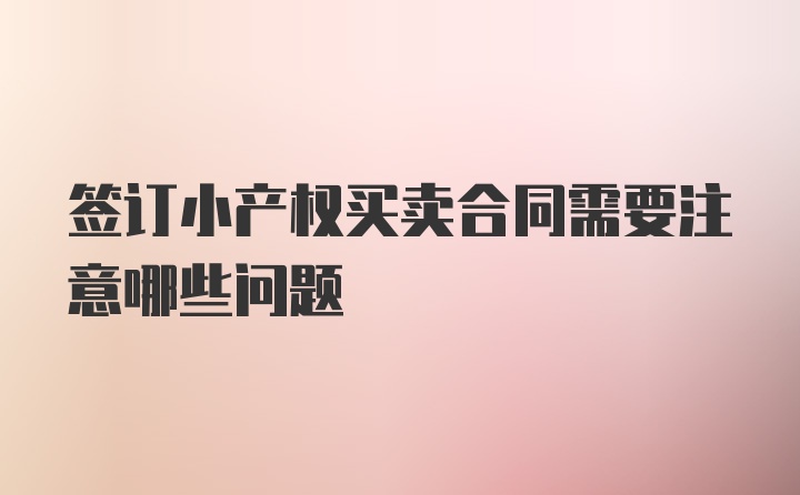 签订小产权买卖合同需要注意哪些问题