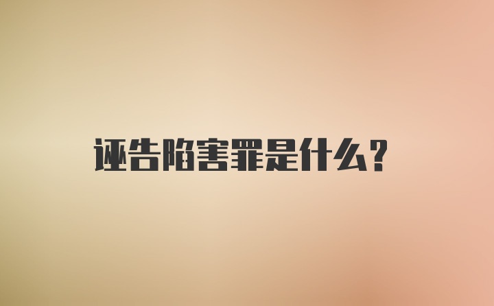 诬告陷害罪是什么?