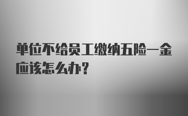 单位不给员工缴纳五险一金应该怎么办？