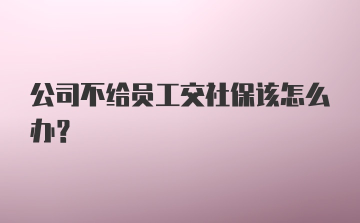 公司不给员工交社保该怎么办？