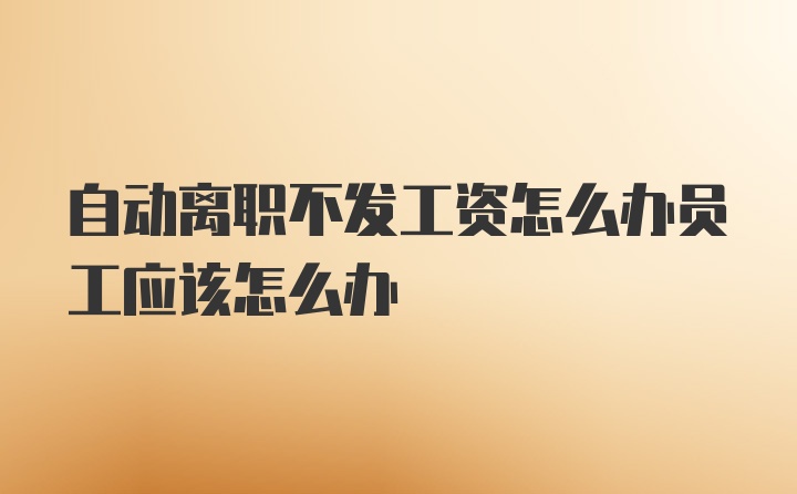 自动离职不发工资怎么办员工应该怎么办