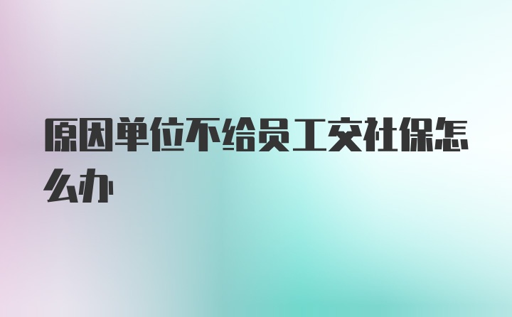 原因单位不给员工交社保怎么办