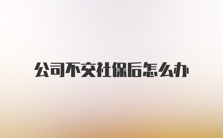 公司不交社保后怎么办