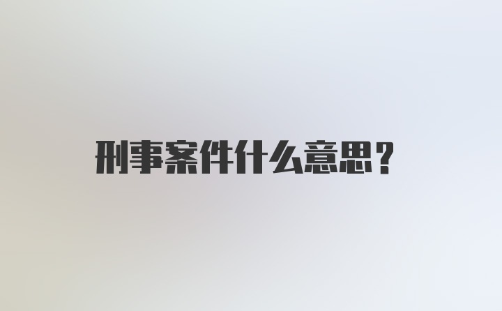 刑事案件什么意思？