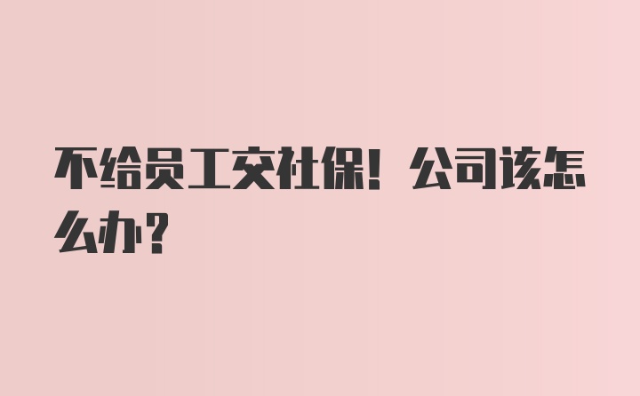 不给员工交社保！公司该怎么办？