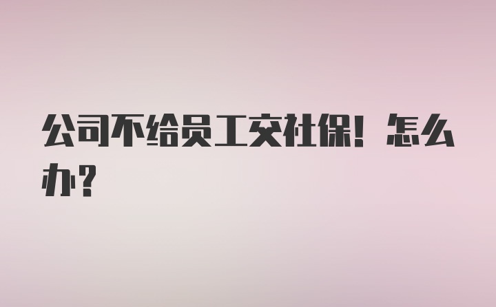 公司不给员工交社保！怎么办？