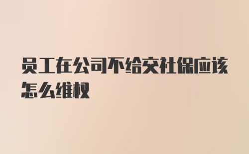 员工在公司不给交社保应该怎么维权