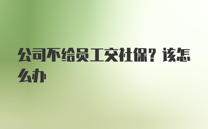 公司不给员工交社保?该怎么办