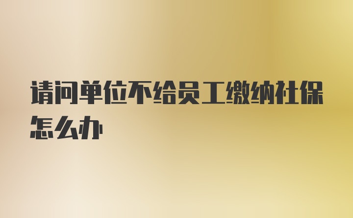 请问单位不给员工缴纳社保怎么办