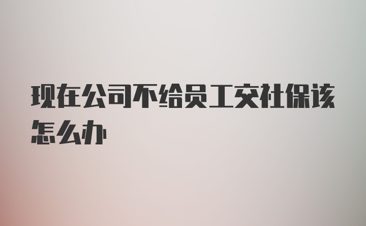 现在公司不给员工交社保该怎么办