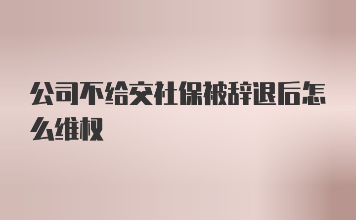 公司不给交社保被辞退后怎么维权