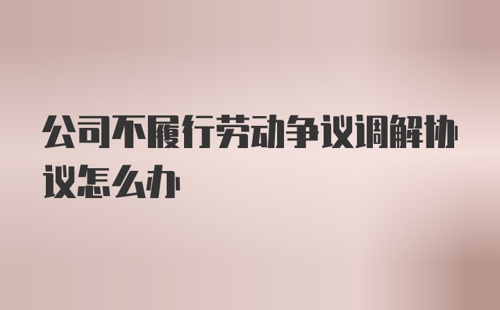 公司不履行劳动争议调解协议怎么办