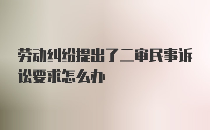 劳动纠纷提出了二审民事诉讼要求怎么办