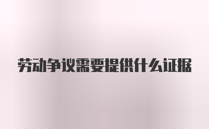 劳动争议需要提供什么证据