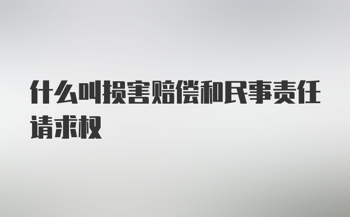 什么叫损害赔偿和民事责任请求权