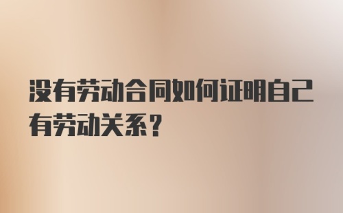 没有劳动合同如何证明自己有劳动关系？