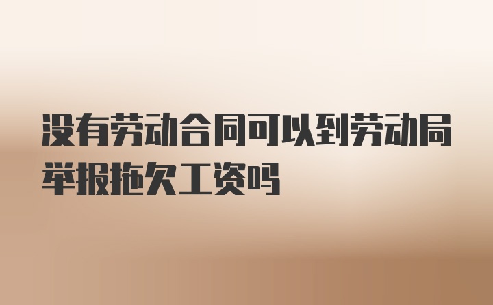 没有劳动合同可以到劳动局举报拖欠工资吗