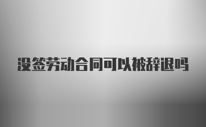 没签劳动合同可以被辞退吗