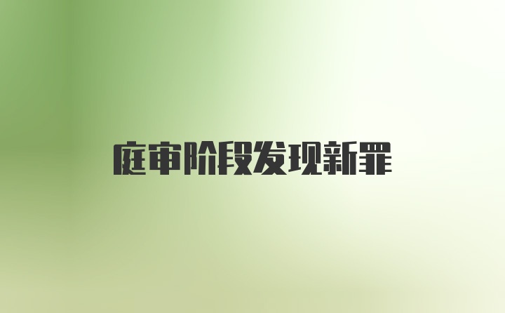 庭审阶段发现新罪